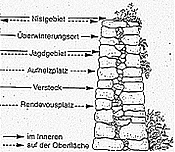 Trockenmauer